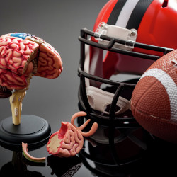Brain Lesions in Former NFL Players Related to Brain and Vascular Changes